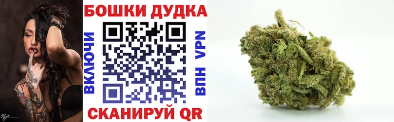 Бошки марихуана индика Фёдоровский